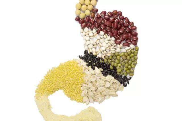 長(zhǎng)夏養(yǎng)生，吃出好“ 胃”口！